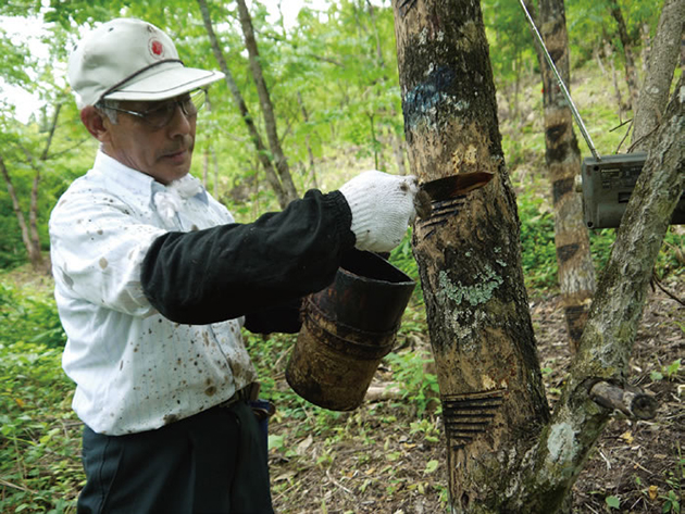 漆はニッポンの文化 本物 は滅びず 衰退する伝統産業を救う 16年1月号 事業構想オンライン