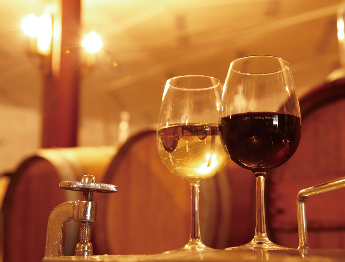 ワインの理想郷、障がい者が支える 人の可能性を信じる経営 | 2017年1