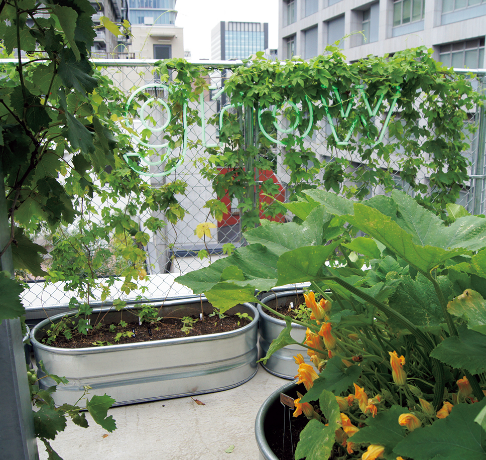 家業の「プランター」を再定義 誰もが楽しく野菜を育てる世界に | 2020