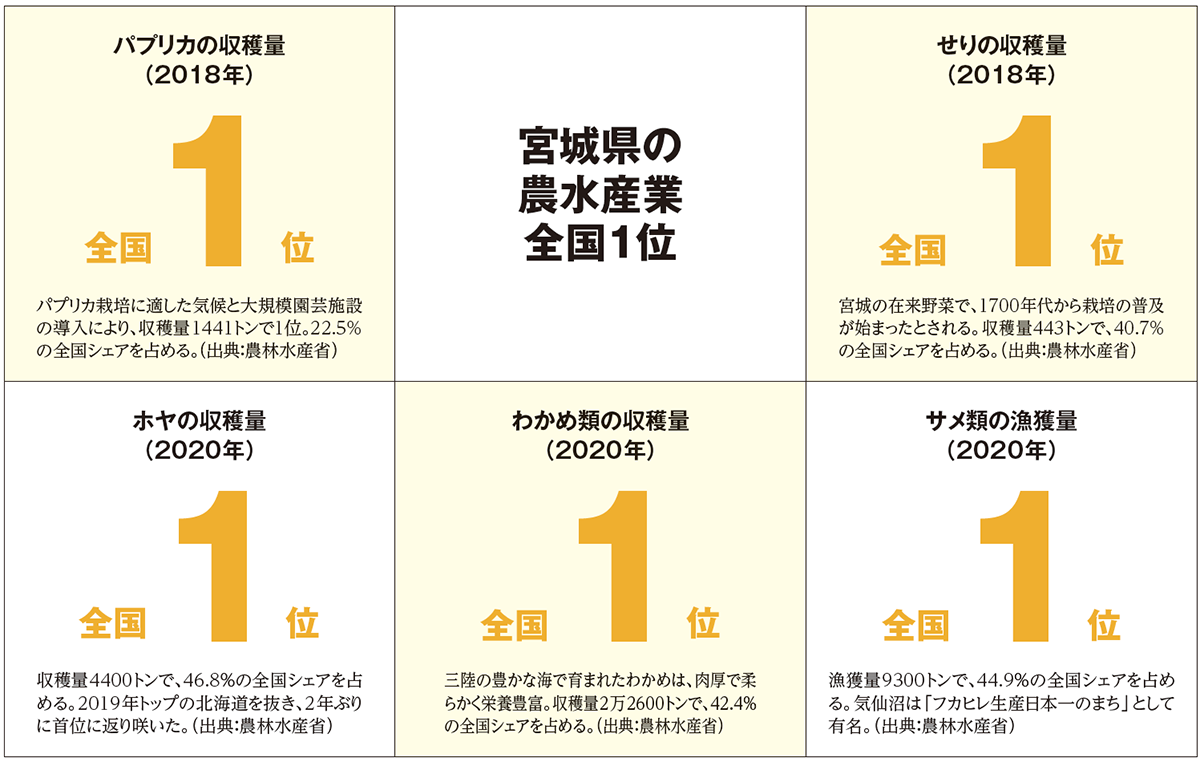 宮城県民割 宮城県の宿泊割引クーポン・旅行支援情報まとめ｜GoToトラベル、みやぎ