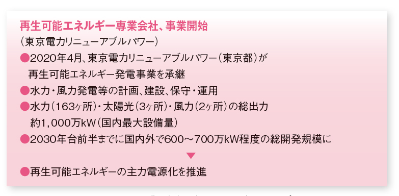 東京電力vs東京ガス 再エネ活用を推進する巨大エネルギー企業  2021年 