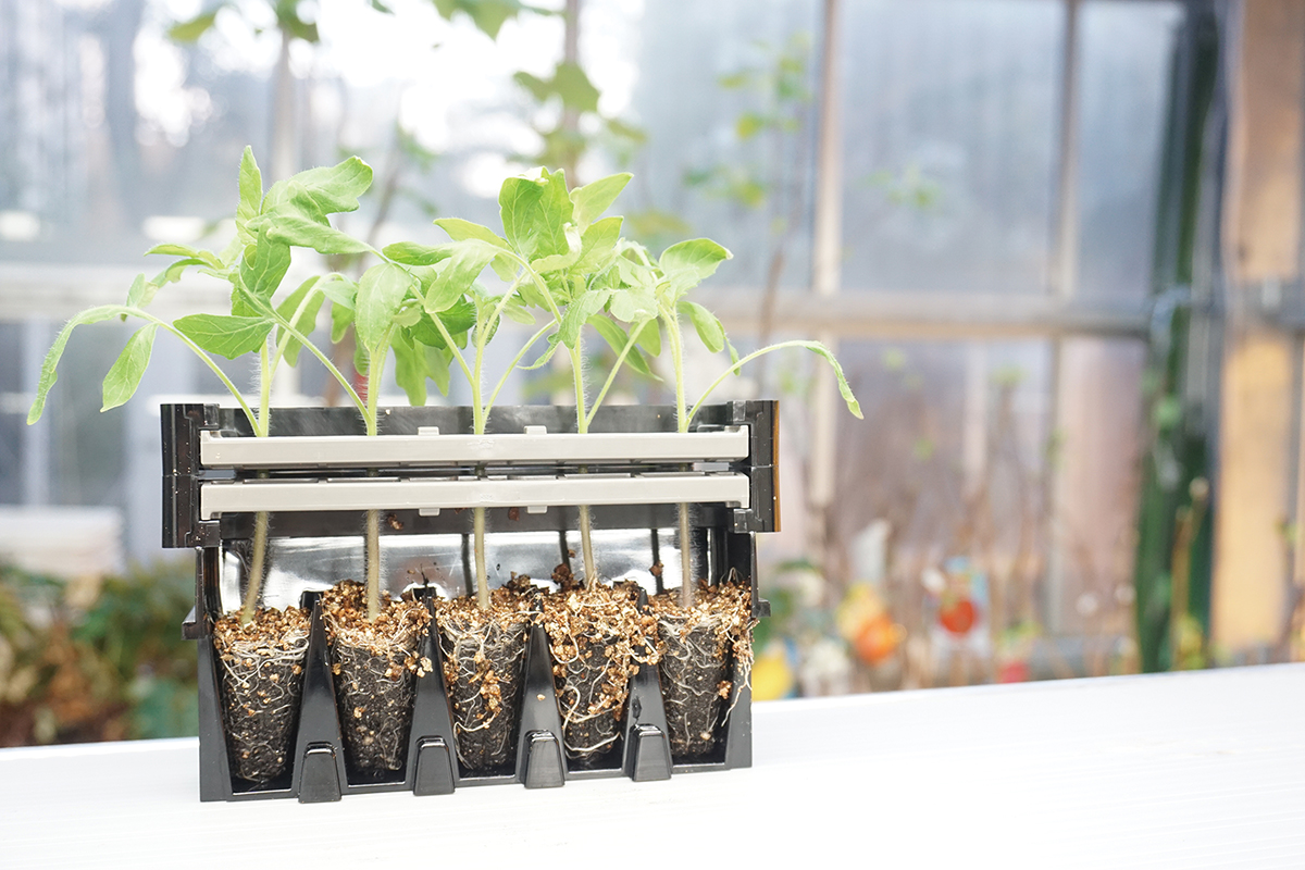 グランドグリーン テクノロジーで農業を「最適化」する | 2021年5月号