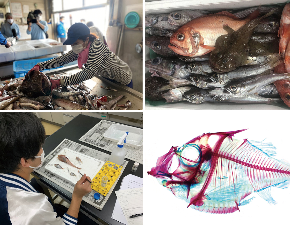 SHINKAI 「深海魚直送便」で伝統漁業を活性化 | 2022年9月号 | 事業