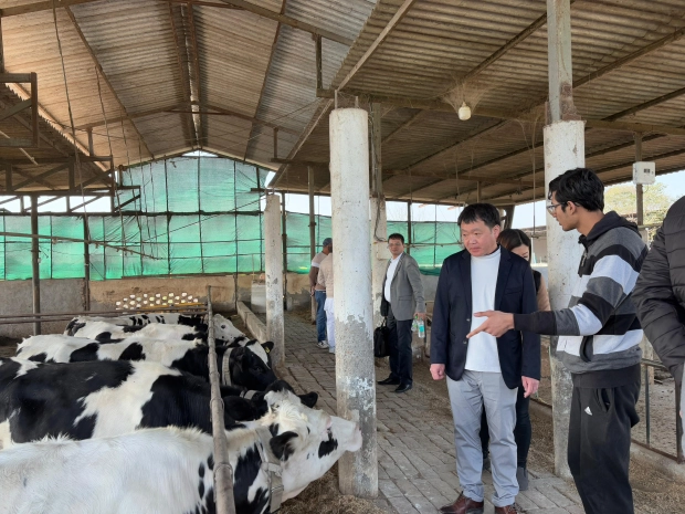 インドネシア‧インド‧ベトナムにて畜産DXを推進