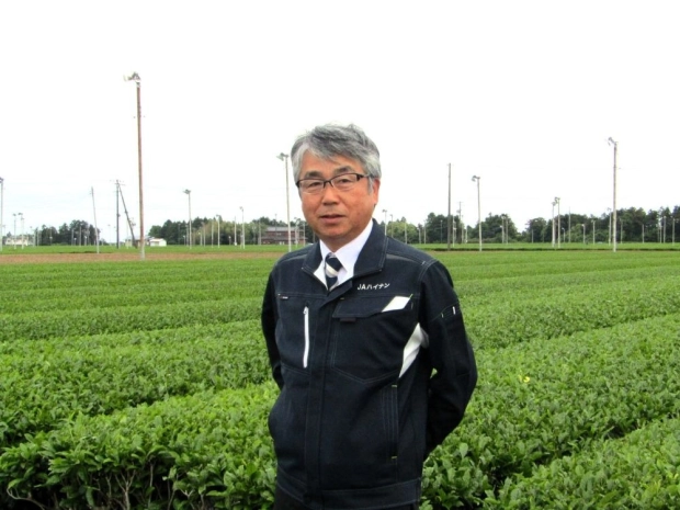 牧之原の茶畑でJAハイナンの立石善也常務理事