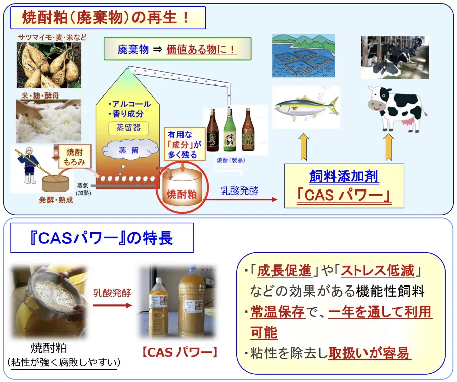 焼酎粕から生まれた「CASパワー」は、生物や植物の成長促進に寄与する機能性飼料
