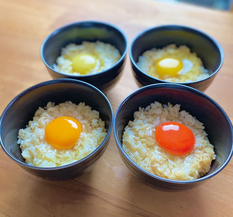 鶏卵生産者支援と日本の食文化「たまごかけごはん」を世界へ発信