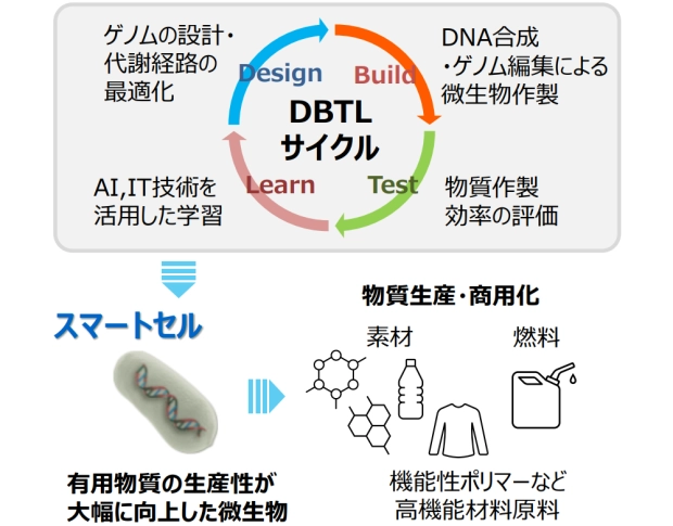 スマートセルの創出