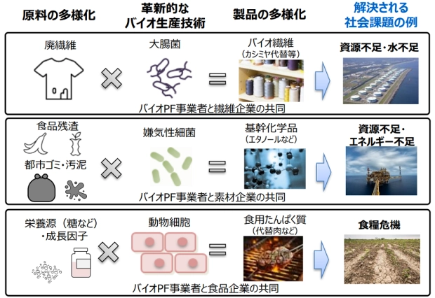 バイオものづくりと解決される社会課題の例