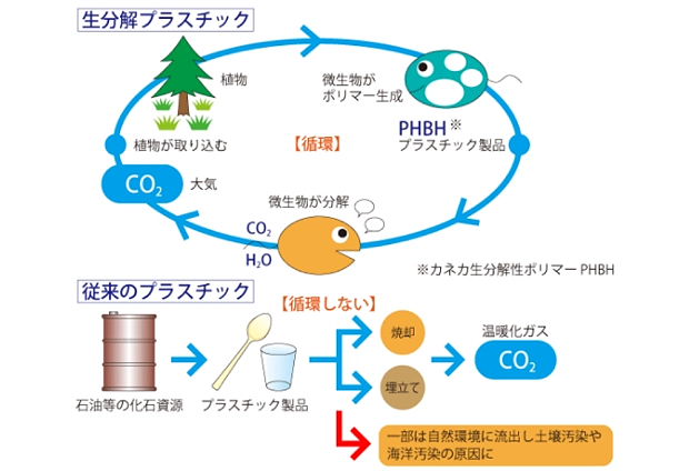 バイオ由来の生分解性プラスチックによる資源循環のイメージ
