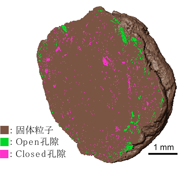 図:土壌団粒中の孔隙(黄色土)