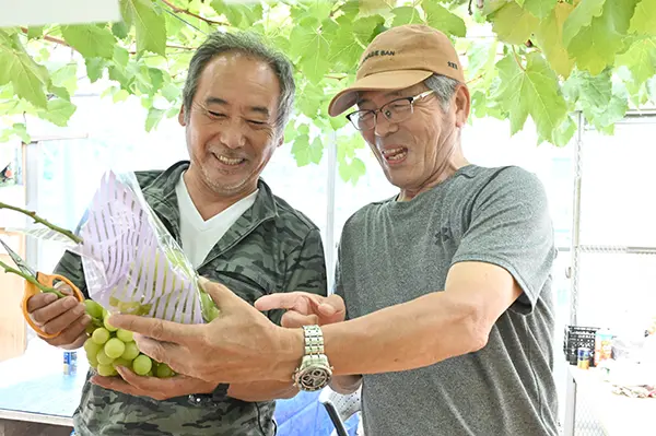 収穫したブドウを手に取る渡辺さん＝右