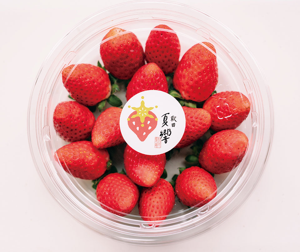 NTTアグリテクノロジー 地域と連携した夏秋いちごの産地形成への挑戦