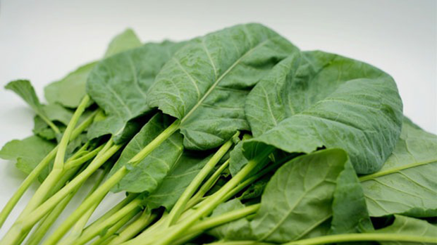 骨太リーフマン（ソフトケール）