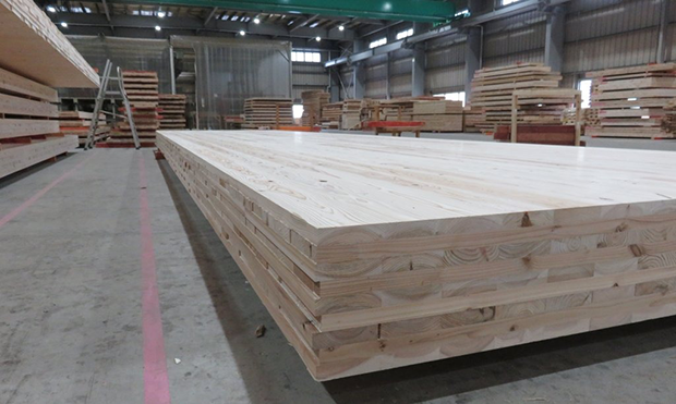 CLTの断面を見ると、繊維が互い違いに積み重なっているのが分かる。最大9層の大型パネルを製造できる。