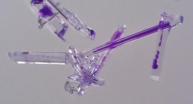 タウリン結晶マイクロニードル