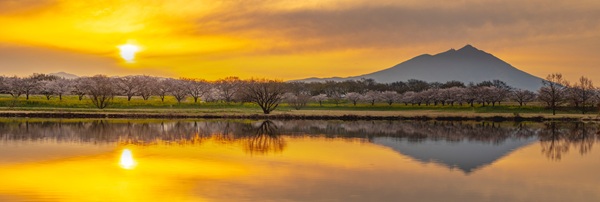 地域特集・茨城県