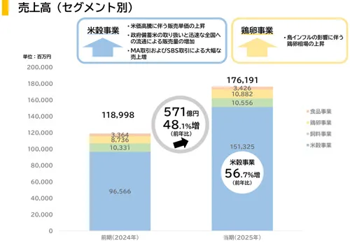 売上高（セグメント別）