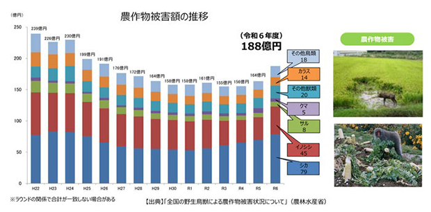 農作物被害額の推移