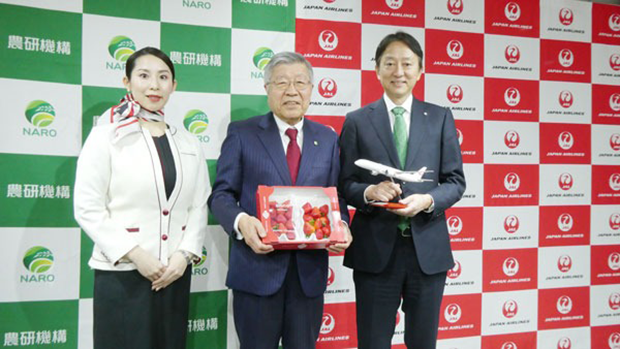 右から日本航空の斎藤祐二副社長、農研機構の久間和生理事長、JAL客室乗務員の川本笑子さん