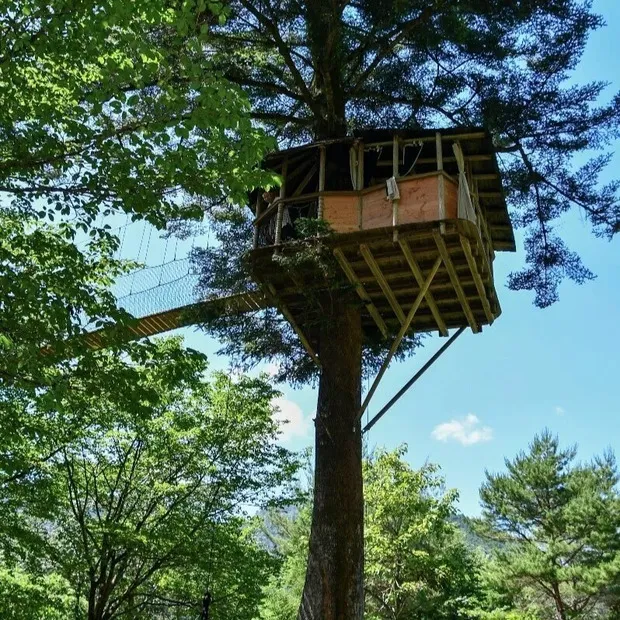 木の上でのんびりと過ごすことができる