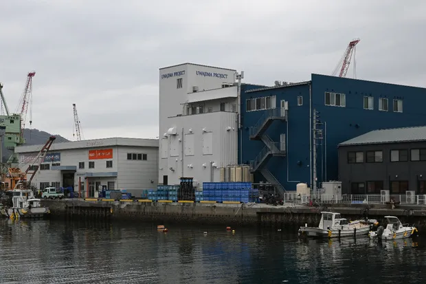 岸壁に接岸した漁船から魚を直接搬入できる宇和島プロジェクト本社