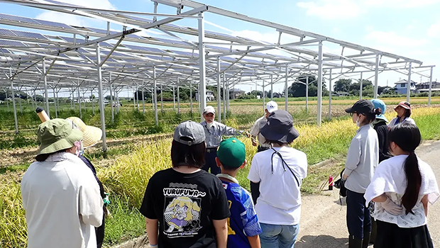 営農型太陽光発電の下での稲刈り体験に集まり農家の説明を聞く子どもたち（本文と直接関係はありません）