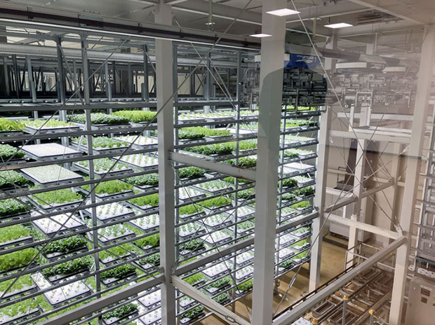 植物工場Farm & Factory TAMURA