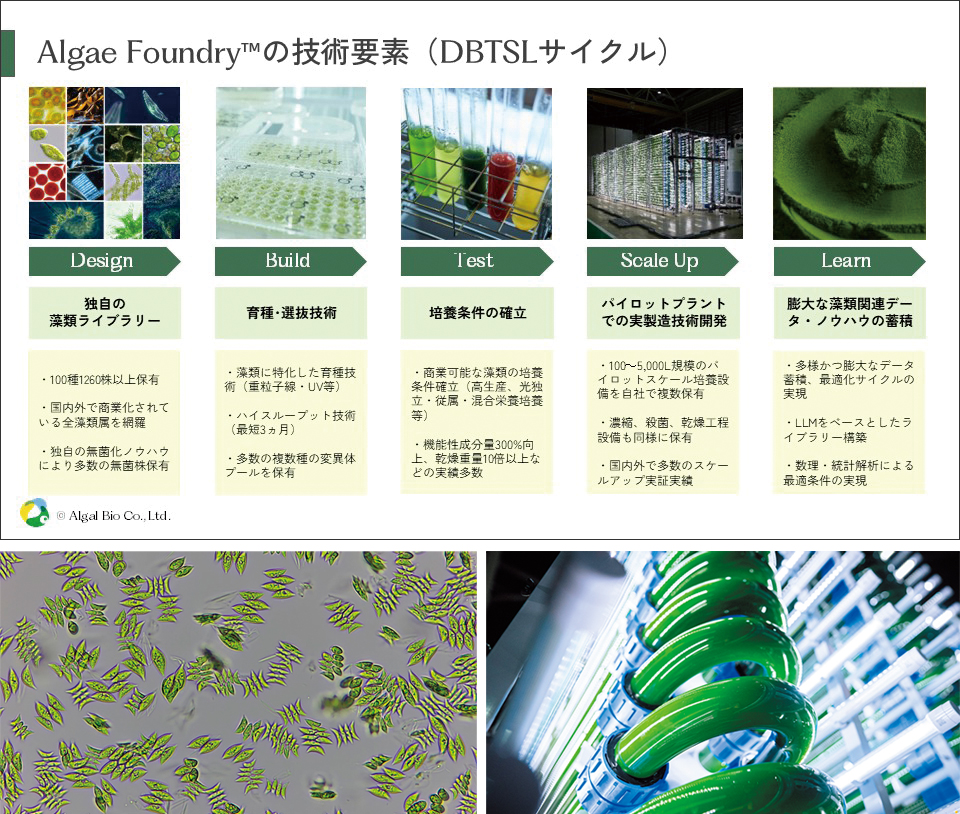 藻類研究法 微細藻類の多様性を事業化 海と暮らしを変える東大発バイオの挑戦