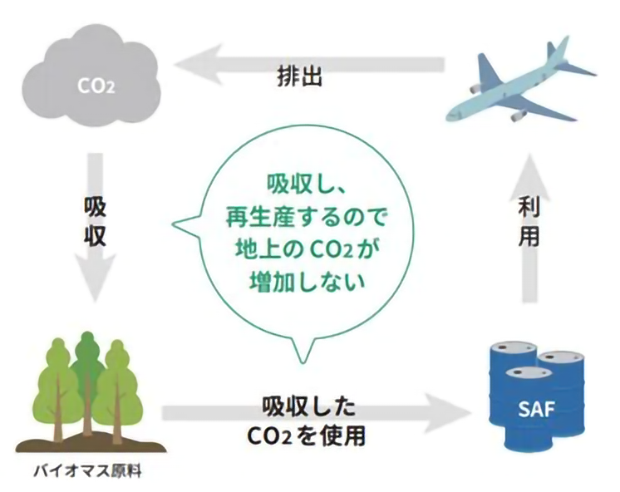 CO2削減効果の考え方（出典：資源エネルギー庁HP「エネこれ」）
